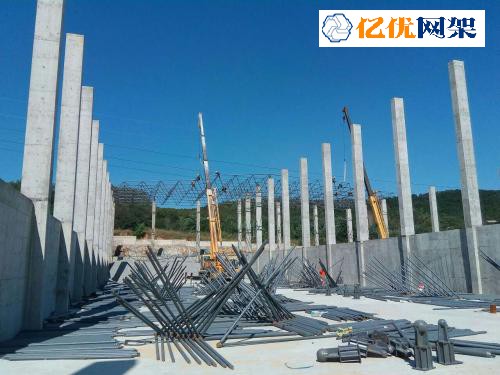 肥城料棚网架设计