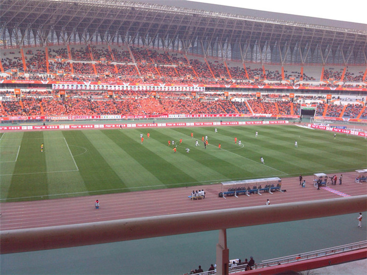 肥城体育场看台网架